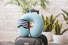 الإرشاد السياحي ورعاية الزوار